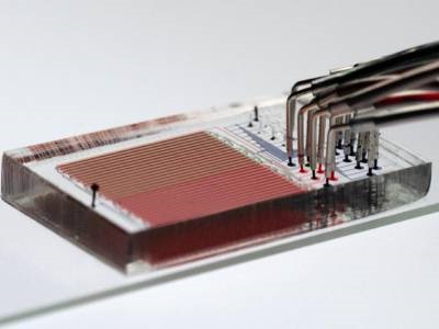 New Tool Runs 1000+ Enzyme Experiments Simultaneously