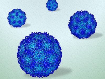 Video: Viruses Filmed Moving in Liquid at Near-atomic Resolution