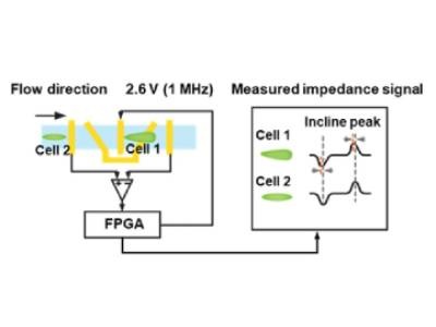 Measuring Cell Shape Without a Microscope