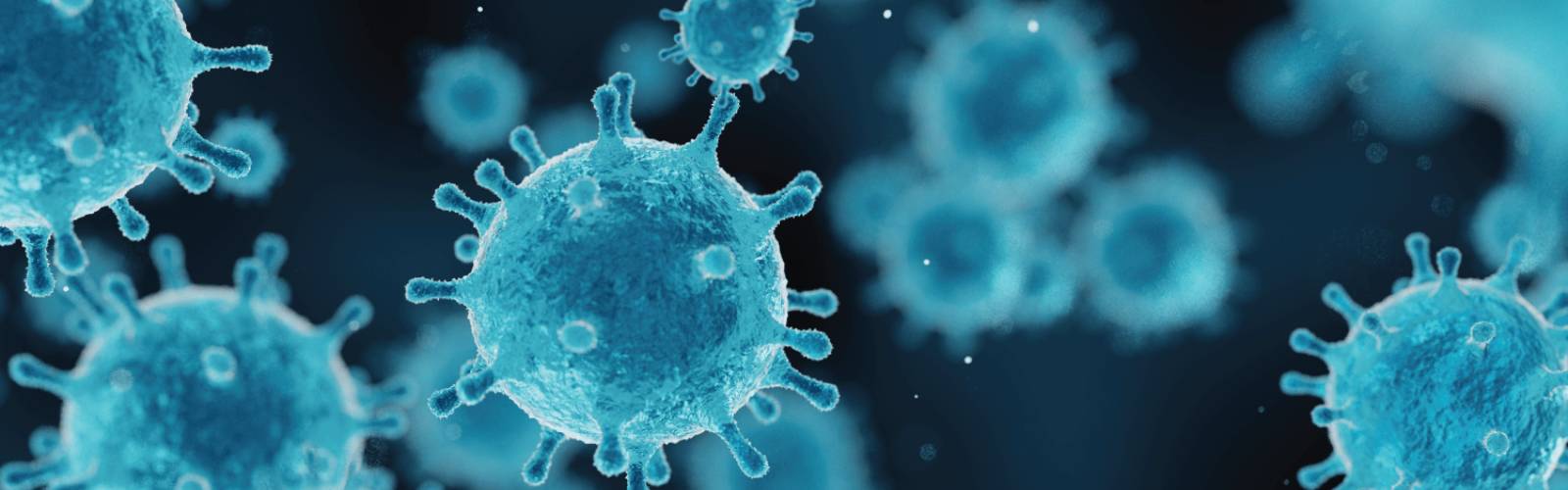  Virus Safety in Continuous Processes