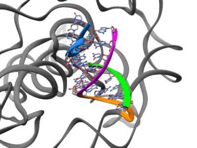High-res System Uncovers Structure of ‘Naked’ RNA