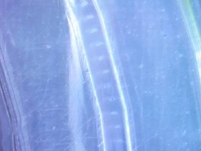 ‘Shadow Waveguide’ Manipulates Particles With Just 2 Sound Sources