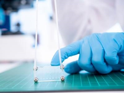 A New Way to Image Organs-on-Chips