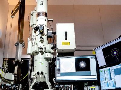  Ultrafast Electron Microscope Leads to Pivotal Plasmonics Discovery