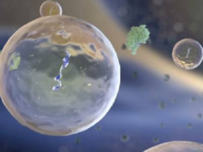 Nanofluidic Device Enables High-throughput Exosome Cargo Loading