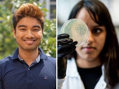Non-CRISPR Gene Editing: New Programmable Systems Discovered
