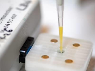 Portable 3D-printed Sensors Detects Herbicide in Drinks