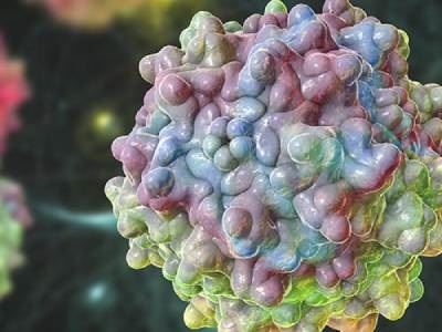  Adeno-Associated Viruses: Why They Are Suitable for Gene Therapy