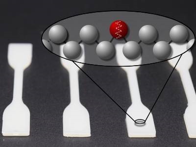 Chemist Uncover Catalyst to Produce Durable, Degradable Plastic