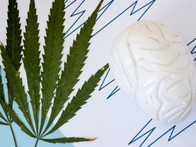 Rare Acidic Cannabinoids Could Help Treat Child Seizure Disorder