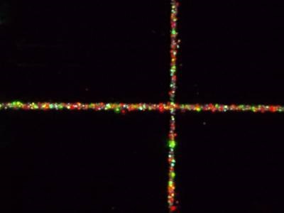  Fluorescent Nanodiamonds Offer Consistent Microscope Calibration