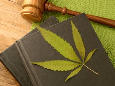 More US Researchers Could Study Cannabis Products Under New Bill