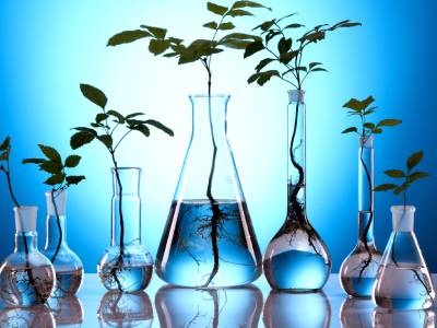 How to Satisfy Your Cold Storage Budgets While Meeting Sustainability Goals