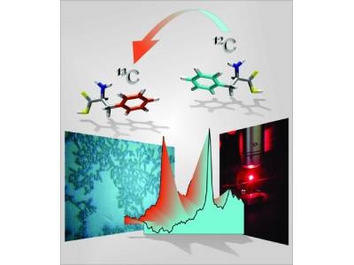  Raman-based Technique Reveals Cell-by-cell Metabolic Differences