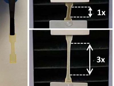 New Underwater Adhesive Combines Natural Abilities of Spiders and Mollusks
