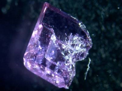  Knockout Sudoku: Engineered Bacteria Could Sustainably Extract Rare Earth Elements