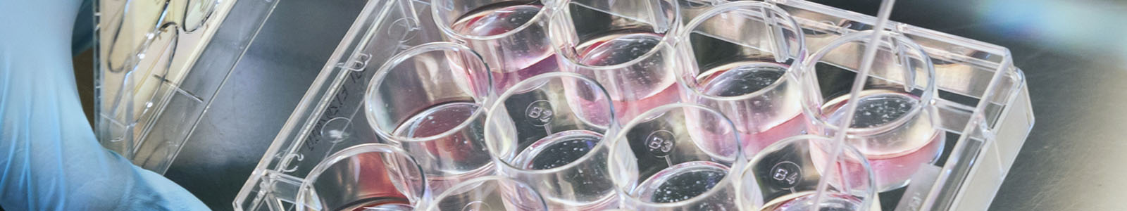  Why Form Follows Function for Cell Culture Science