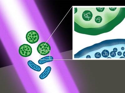  Ultrashort-pulse Laser Kills Bacterial Superbugs