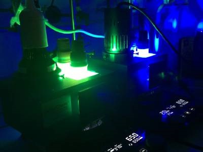 A More Sustainable Way to Produce Pharmaceuticals