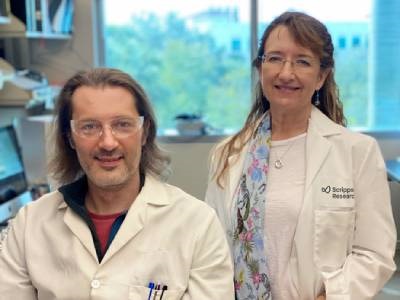 New Compounds Relieve Severe Pain with Lower Risk of Overdose