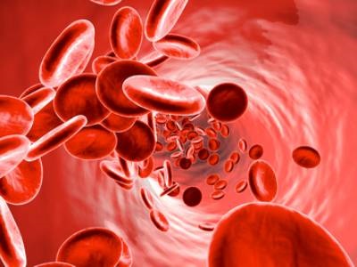 Getting to the Core of Intravenous Nanoparticles
