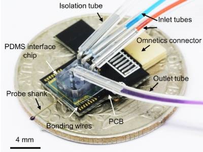 Mini Brain Chip Can Monitor Neurotransmitters, Deliver Drugs