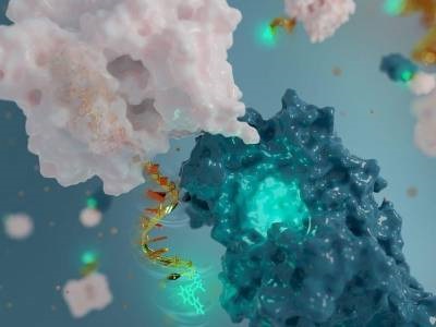 Chemists Create Protein-sensing Nanoantenna Out of DNA