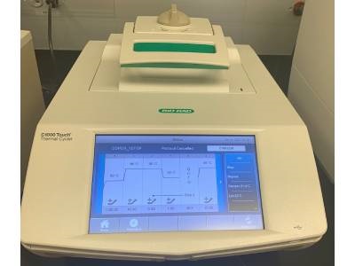 Modern PCR System for Amazing Amplifications