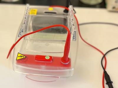 Durable Electrophoresis Systems