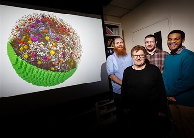 Researchers Simulate Behavior of Living 'Minimal Cell' in 3D