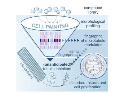 Drug Side Effects Could Be Identified Earlier with Cell ‘Fingerprinting’ Strategy