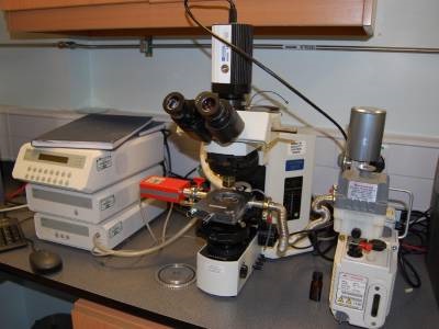 Cryomicroscopy: The Coolest Technique in Pharma Research