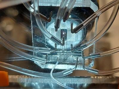 New Method Boosts Efficiency of Single-cell RNA Sequencing