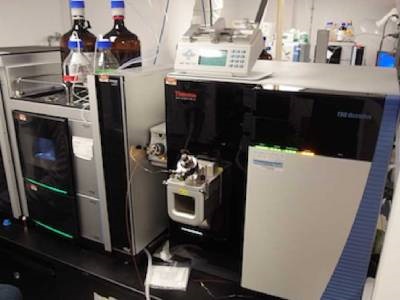 Quantitative Productivity Enhancer
