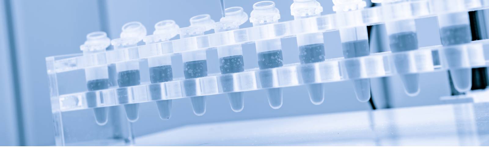  Oligonucleotides: Overcoming Challenges with New Thinking & Collaborative Discovery