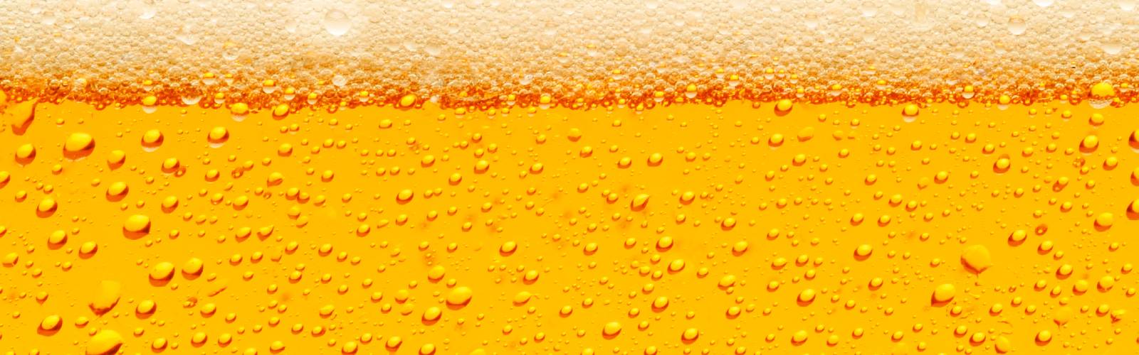  Case Study: Using Dynamic Micro-CT to Compare Beer Head Quality