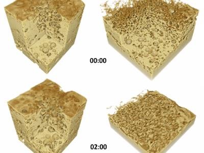 Case Study: Using Dynamic Micro-CT to Compare Beer Head Quality