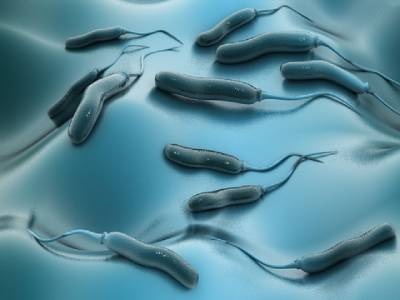 Study Tracks the Evolution of Disease-causing E. Coli