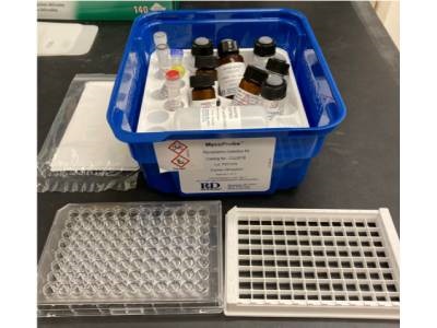 Reliable Colorimetric Test for Mycoplasma in Cell Culture
