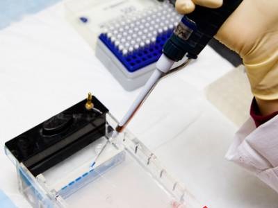 Tech Compare: Capillary vs. Gel Electrophoresis