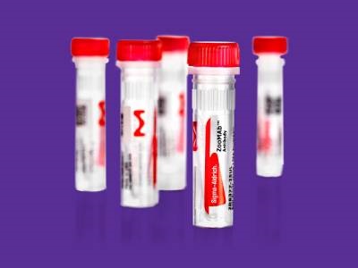 MilliporeSigma’s ZooMAb Antibodies Become 1st Antibodies to Receive ACT Label
