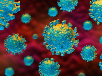 Decoy Receptor Can Protect Against Omicron Infection