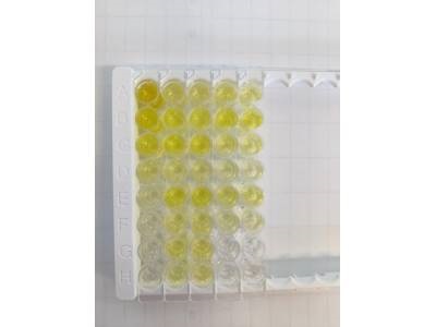 Great Mouse Cytokine Array Kit