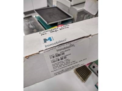 PVDF for Western Blot Transfer