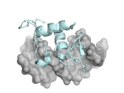Ancient Proteins Show Mutation Effects Grow Less Predictable Over Time