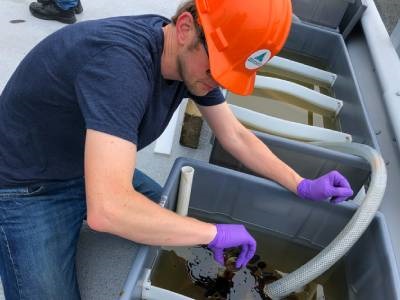Study Confirms Efficacy of Dispersants to Mitigate Oil Spills