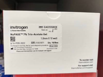 Tris Acetate Precast Gel - Large Molecular Weight Protein Separation