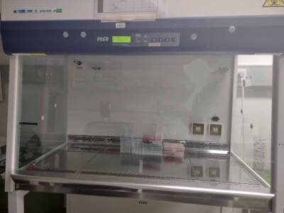 Biosafety Cabinet for Cell Culture Facility