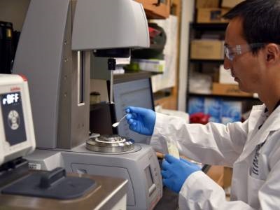  Edible Nanoparticles Offer Healthy Alternative to Trans, Saturated Fats