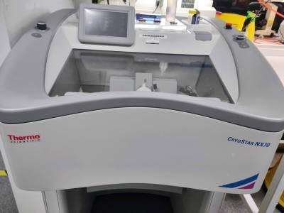 Cryostat for Cryosectioning Adult Mouse Brain